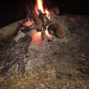 Meet your Posher, Brandy